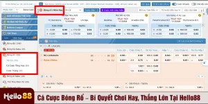 Cá cược bóng rổ