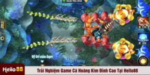 Trải Nghiệm Game Cá Hoàng Kim Đỉnh Cao Tại Hello88