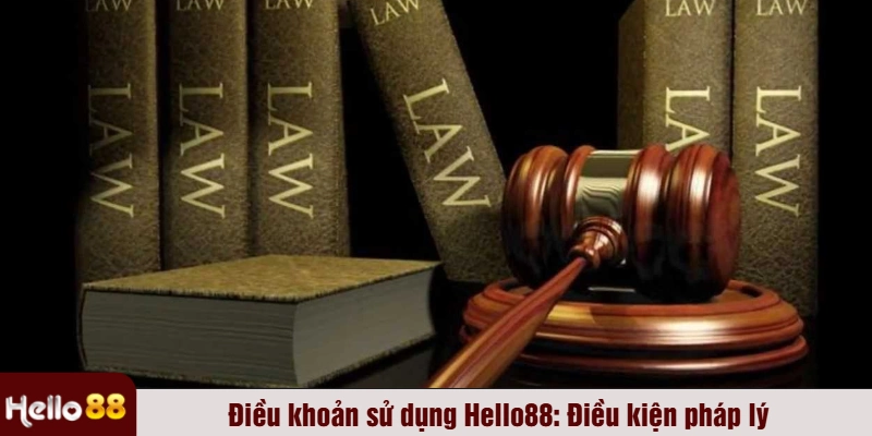 Điều khoản sử dụng Hello88: Điều kiện pháp lý